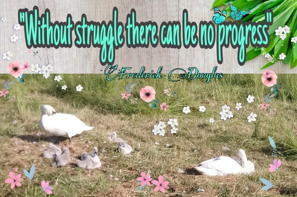 Without struggle quotation