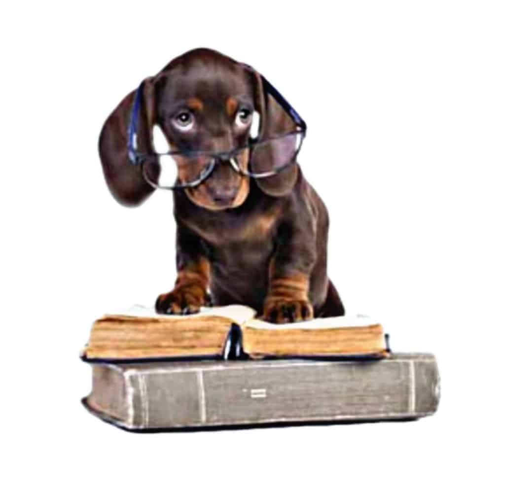 reading icon